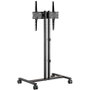 Aisens Soporte de Suelo ECO FT55TE-213 para TV de 32-55 pulgadas